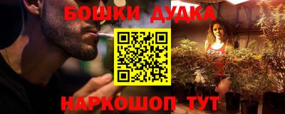 стафф Гай