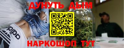амф Гатчина