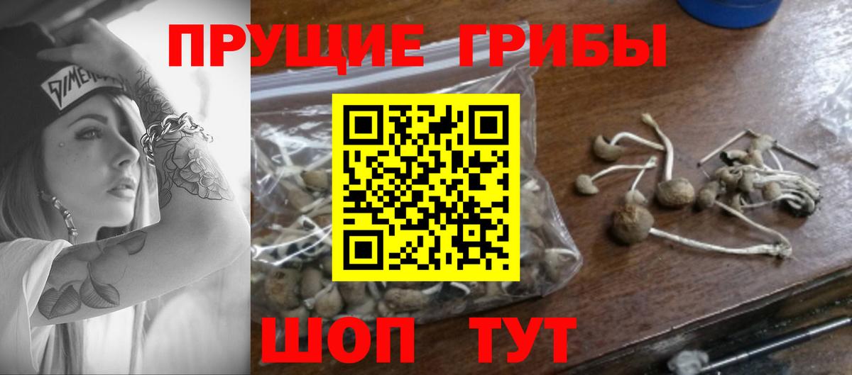 Галлюциногенные грибы ЛСД Новоалтайск